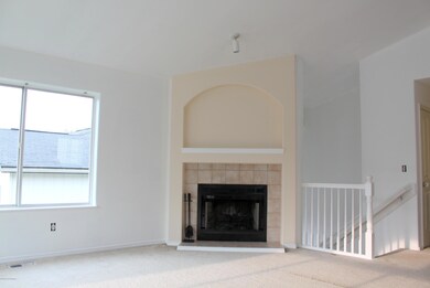 Raintree_Fireplace