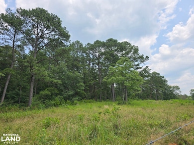 0 State Hwy 21, Sycamore, AL 35149 - photo 3