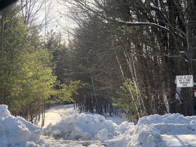 tbd Hanson Rd unit 5, Brookfield, NH 03872 - photo 2