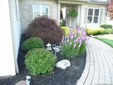 Other front walkway