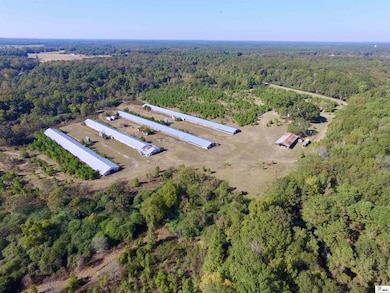 407 Highway 821, Choudrant, LA 71227 - photo 5