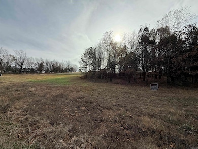 Tract 43 Rainbow Lake Rd, Austin, AR 72007 - photo 2
