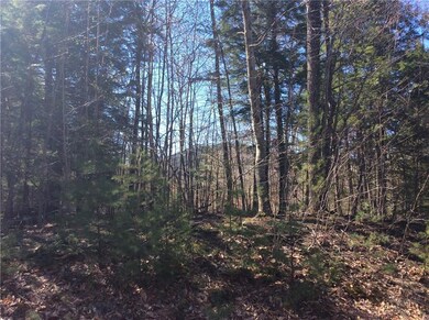 41-1 Knights Hill & Tanner Way Rd, Bridgton, ME 04009 - photo 7