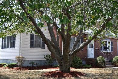 23 Regis Rd, Arlington, MA 02474 - photo 3