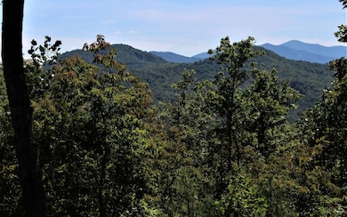 Additional View