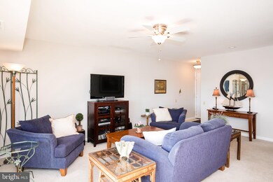 782 Fairview Ave unit E, Annapolis, MD 21403 - photo 4