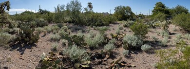 7J6A5130-Pano