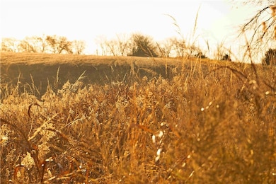 0 432 Rd unit HMS2587548, Savannah, MO 64485 - photo 2