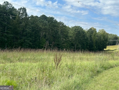 0 Teasley Trail unit 10600969, Moreland, GA 30259 - photo 2