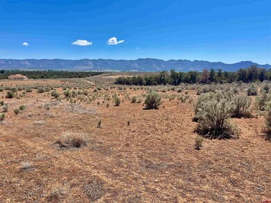 Tract 4 Road K 3, Cortez, CO 81321 - photo 4