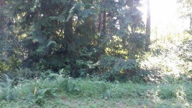 10714 Anchor Place unit AI, Anderson Island, WA 98303 - photo 4