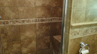 Master shower 1