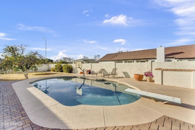 36-web-or-mls-DSC04907