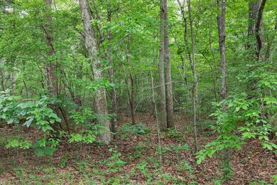 0B Alice Boynton Rd. Manchester, TN 37355