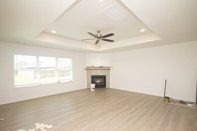 672 Brandon Michael St, Prairie Grove, AR 72753 - photo 4