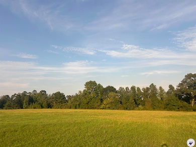 132 Private Road 1108, Fouke, AR 71837 - photo 6