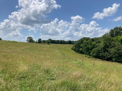 000 County Rd O-532 unit 13, Ava, MO 65608 - photo 5