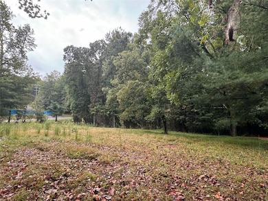 5915 Burruss Mill Rd Tract 1, Cumming, GA 30041 - photo 6