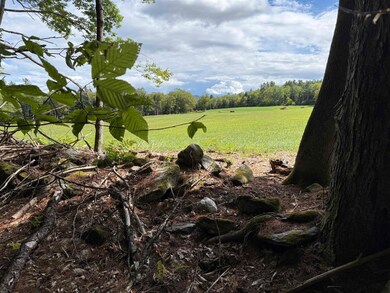 0 Hoey Rd, Cavendish, VT 05142 - photo 2