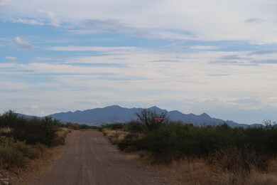 IMG_3259 (1)