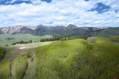 F5 Prospect Dr, Mt. Crested Butte, CO 81225 - photo 3