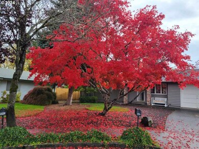 Front Yard