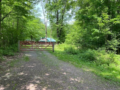 3776 E Handsome Brook Rd, Franklin, NY 13775 - photo 2