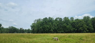 0 Dorsch Rd unit RTC2658840, Manchester, TN 37355 - photo 5