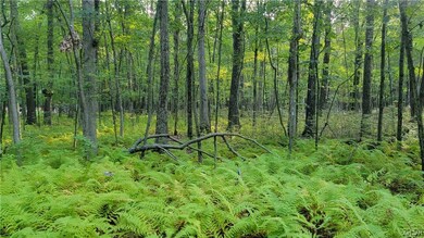 1000 Towamensing Rd, Towamensing Township, PA 18235 - photo 4