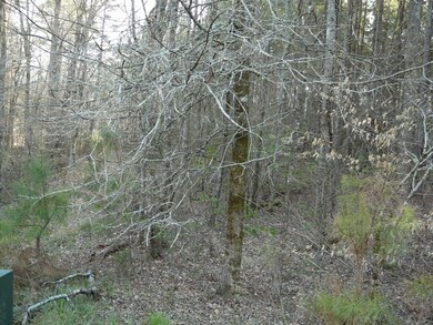 9 Southview Dr, Anderson, SC 29621 - photo 5