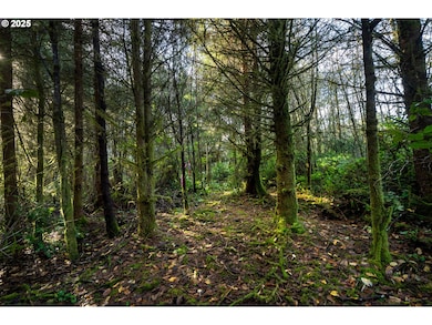 500 Sandlake Rd, Beaver, OR 97112 - photo 6