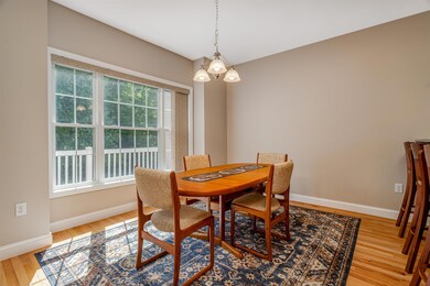 19 Hanna Cir, MerriMacK, NH 03054 - photo 7