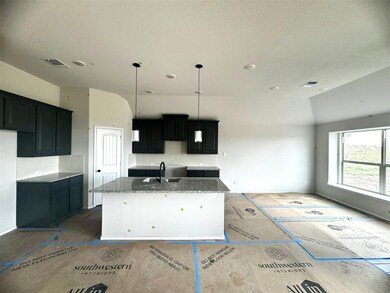 10329 Lenten Rose St, Fort Worth, TX 76036 - photo 3