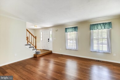 13845 Springstone Dr, Clifton, VA 20124 - photo 5