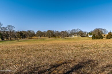 225538_25-snapsold-screen-commissary-cov