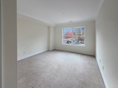 Poet's Landing unit A303, Danbury, CT 06811 - photo 6