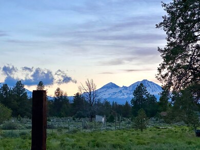 IMG_1447