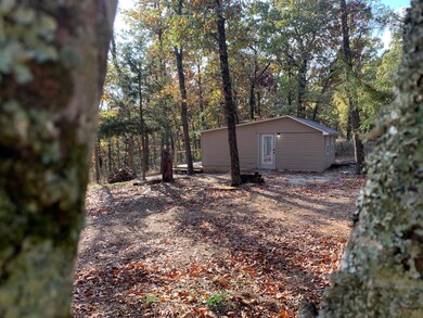 4910 Stallion Bluff Rd, Shell Knob, MO 65747 - photo 3