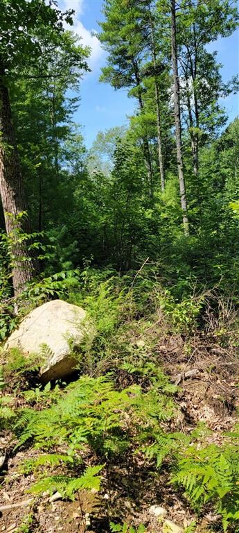 00 Earls Rd unit Lot A, South Berwick, ME 03908 - photo 5