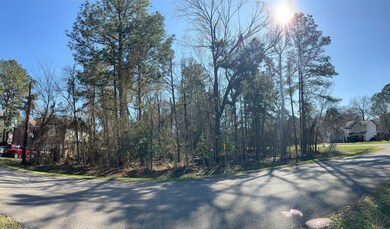 00 Dillon Dr, Magnolia, TX 77354 - photo 2