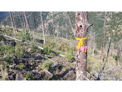 0 Gold Trail, Gold Hill, CO 80302 - photo 2