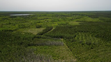DJI_0754