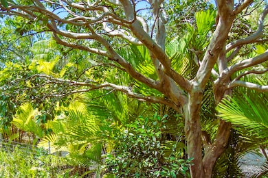 15-2003 3rd Ave, Hawaiian Paradise Park, HI 96749 - photo 6