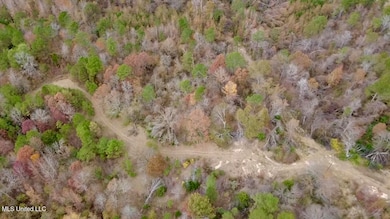 0 Border Rd, Carrollton, MS 38917 - photo 3