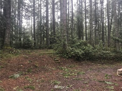 22231 Bluewater Dr SE, Yelm, WA 98597 - photo 2