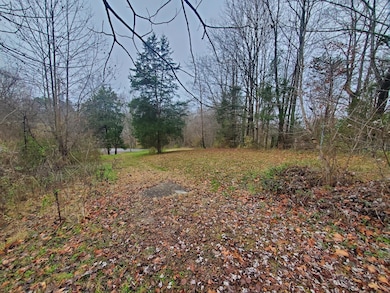 760 Kentucky 1674, Somerset, KY 42503 - photo 4