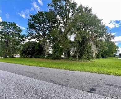 1199 N Hambletonian Dr, Hernando, FL 34442 - photo 2