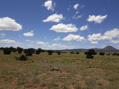 Lot 81 Juniperwood Ranch, Ash Fork, AZ 86320 - photo 3