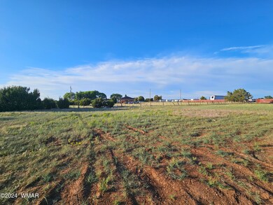 0 N 6th St, Show Low, AZ 85901 - photo 4