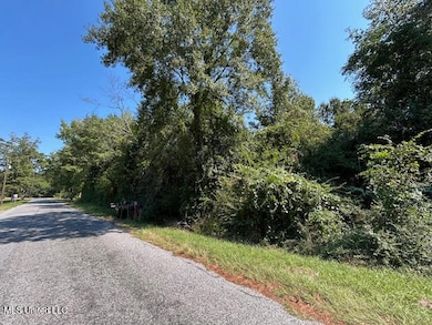 0 Summit Holmesville Rd, McComb, MS 39648 - photo 2